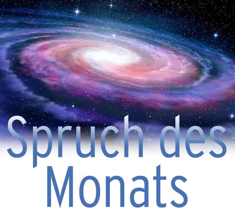 [Translate to English:] Spruch des Monats
