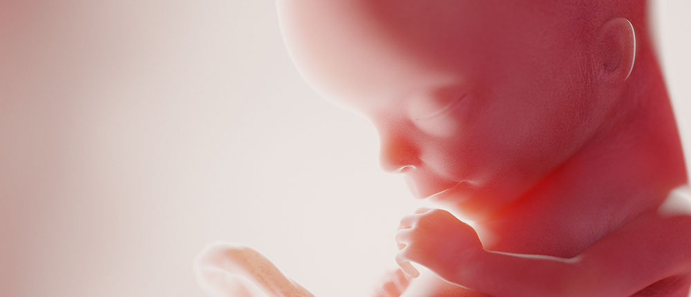 Intrauterine Klänge – Theorie Intrauterine Klänge - Theorie